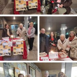 celebracion-fundacion-granada-01