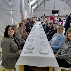 celebraciones-manzanares-02
