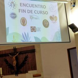 despedida-curso-2024-albacete_08