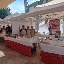 feria-asociaciones-benicasim-02