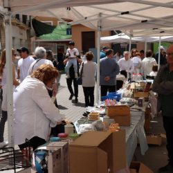 mercadillo-beniganim-2025-05