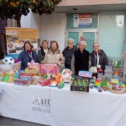 mercadillo-solidario-2024-sevilla-03