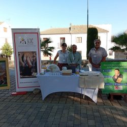 novena-carismas-baeza-01