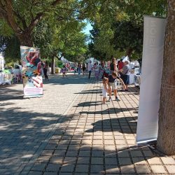 novena-carismas-baeza-03