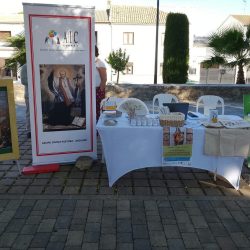 novena-carismas-baeza-06