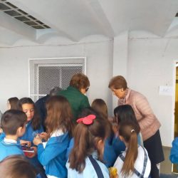 rastrillo-solidario-albacete-05