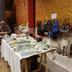 recogida-alimentos-gijon-09