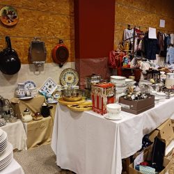 recogida-alimentos-gijon-14