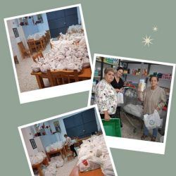 reparto-alimentos-tenerife-02