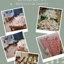 reparto-alimentos-tenerife-03