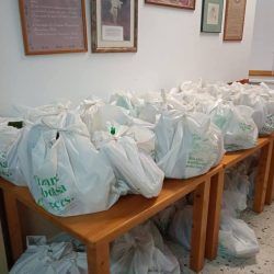reparto-alimentos-tenerife-04