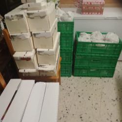 reparto-alimentos-tenerife-09