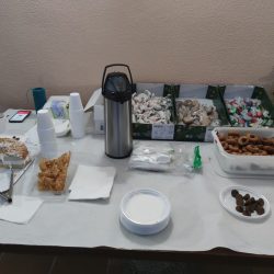 reparto-navidad-cadiz-03