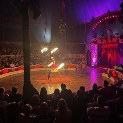 tarde-circo-cartagena_03