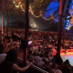 tarde-circo-cartagena_04