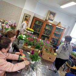 venta-plantas-albacete_01
