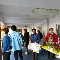 venta-plantas-albacete_02