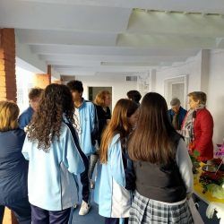 venta-plantas-albacete_03