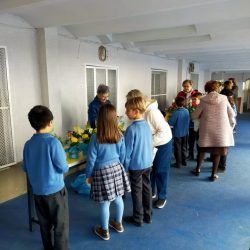 venta-plantas-albacete_04