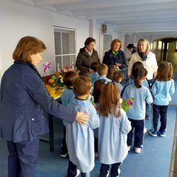 venta-plantas-albacete_05