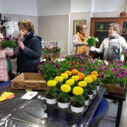 venta-plantas-albacete_06